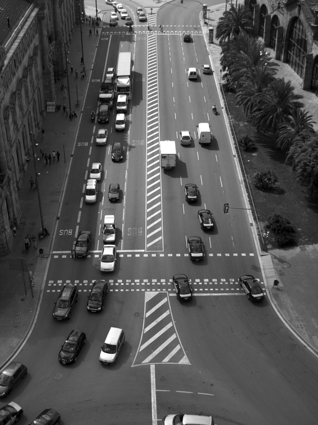 black and white cars traffic palms